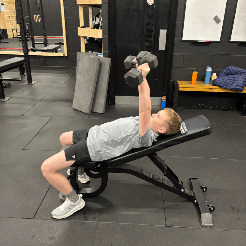 Person lying on an incline bench in a gym, performing a dumbbell bench press with two hex-shaped dumbbells.